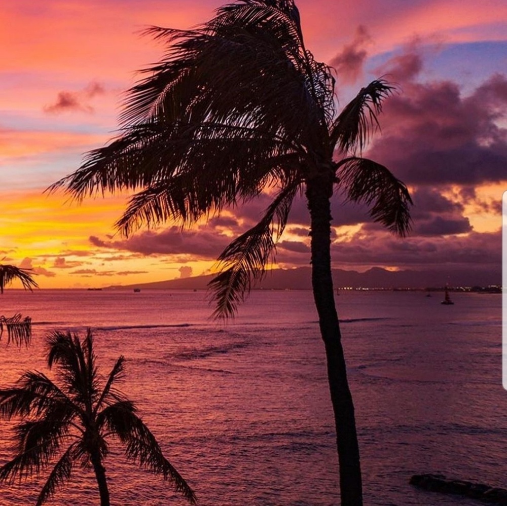 Meet your Posher, Griselda